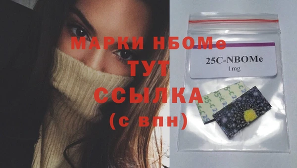 индика Новозыбков