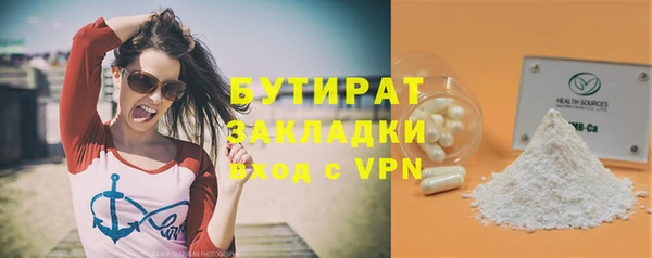 индика Новозыбков