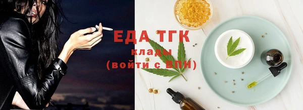 сатива Новодвинск