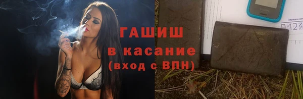 индика Новозыбков