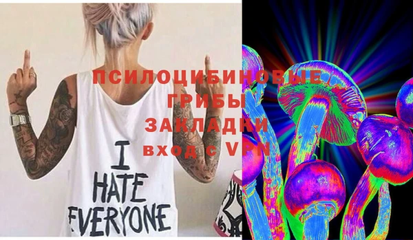 ГАЛЛЮЦИНОГЕННЫЕ ГРИБЫ Новокубанск