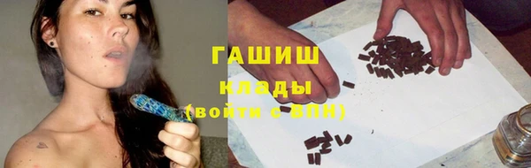 индика Новозыбков