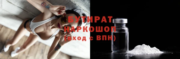индика Новозыбков