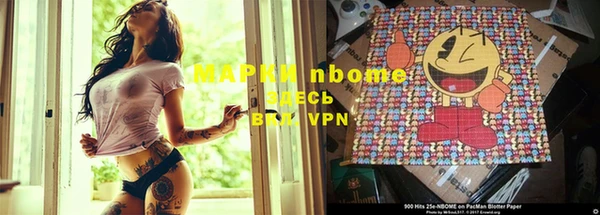 сатива Новодвинск