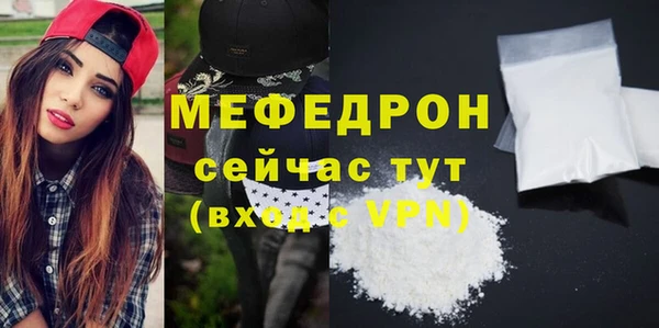 индика Новозыбков