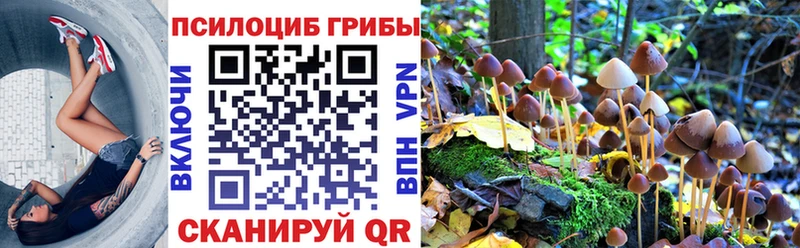 Псилоцибиновые грибы Cubensis  что такое наркотик  Бокситогорск 